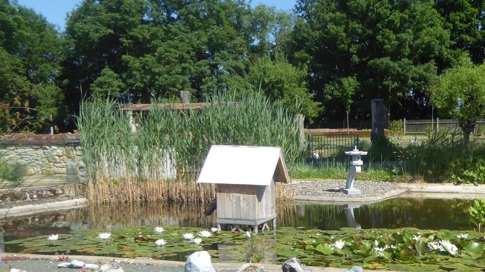 DER NATÜRLICHE TIERFREUNDLICHE GARDEN NABU GeraGreiz e.V.
