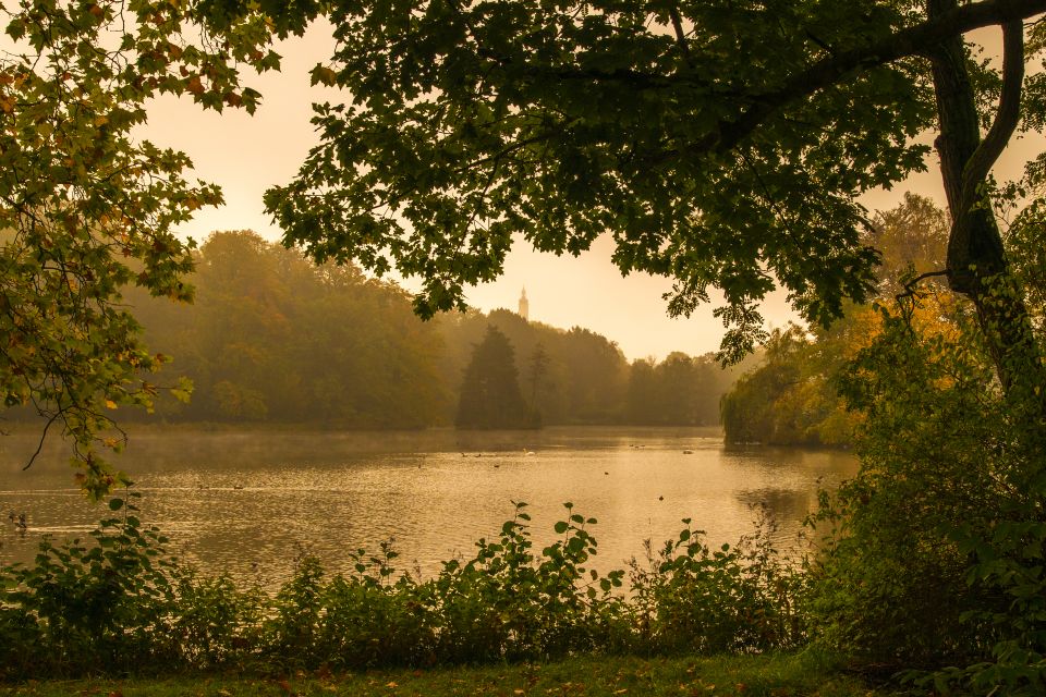 Greizer Park im Herbst © Frank Leo/fokus-natur.de
