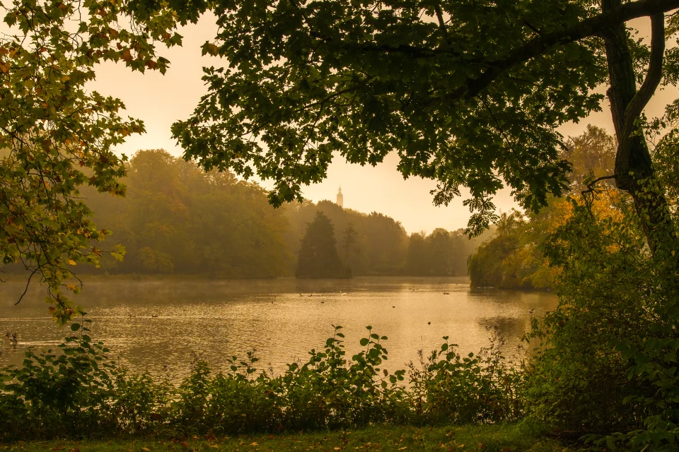 Greizer Park im Herbst &copy; Frank Leo/fokus-natur.de